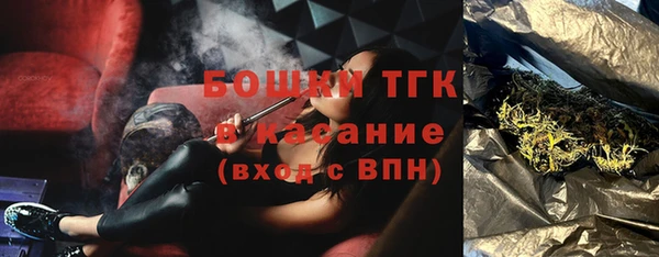 сатива Михайлов