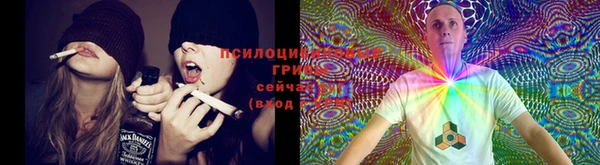сатива Абдулино